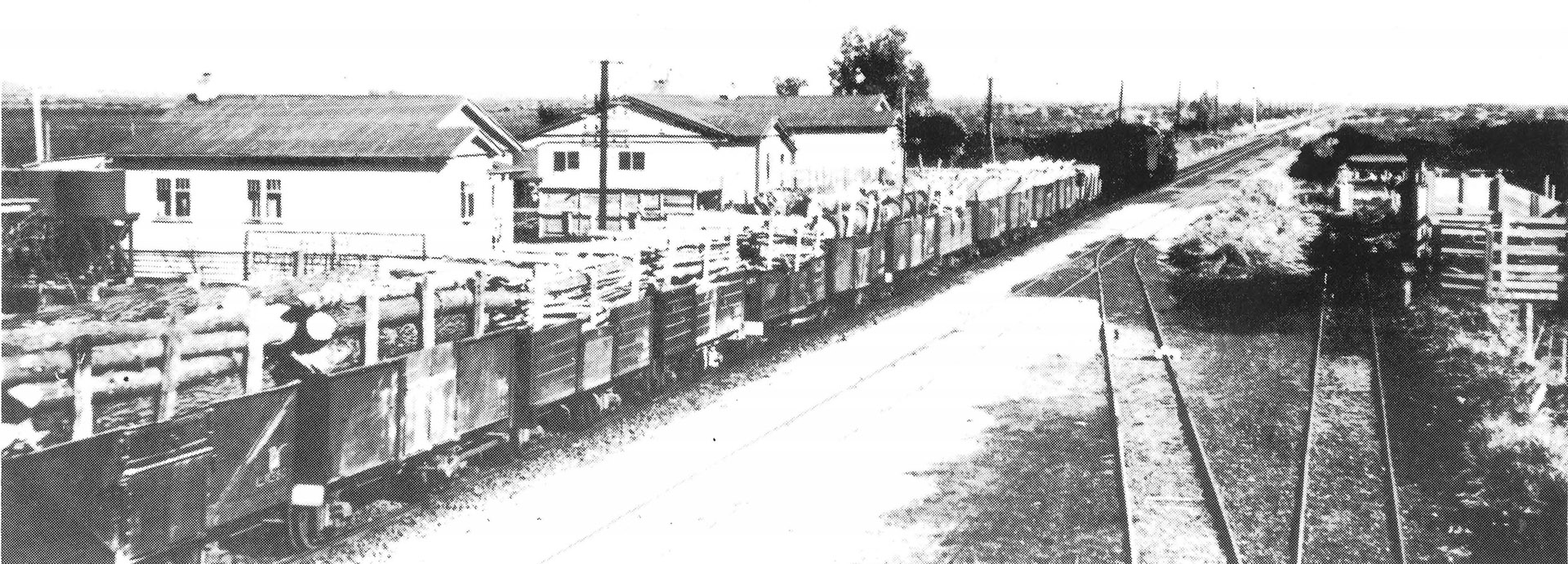 Waggons waiting on the Eureka siding