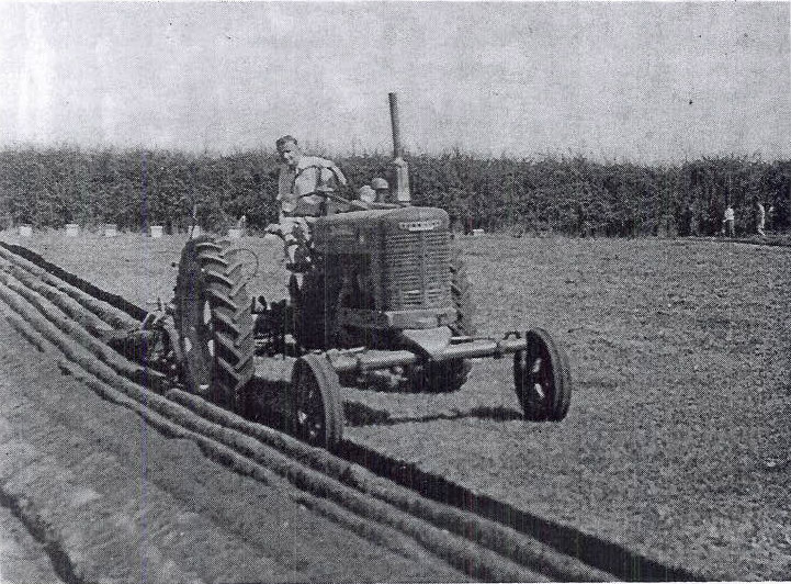 John Middlemiss wins the Waikato Ploughing Championship Cup 1956.